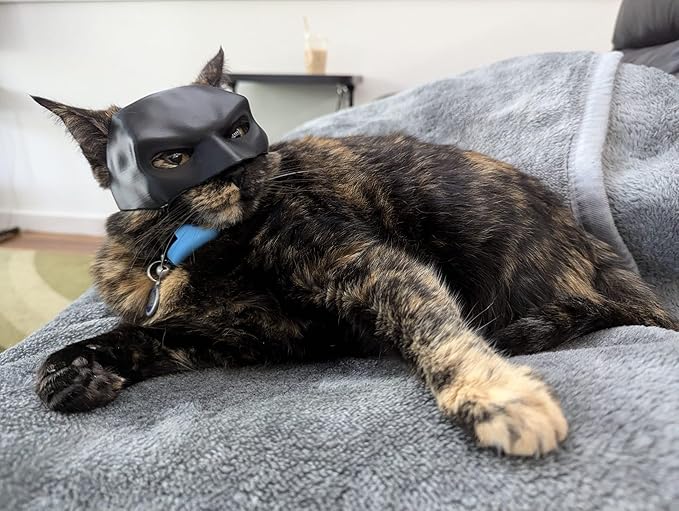 Bat Cat Mask Pet Toy